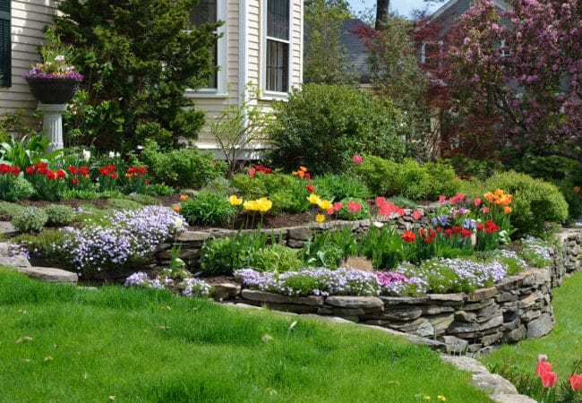 How to Landscape a Steep Slope or Hillside on a Budget
